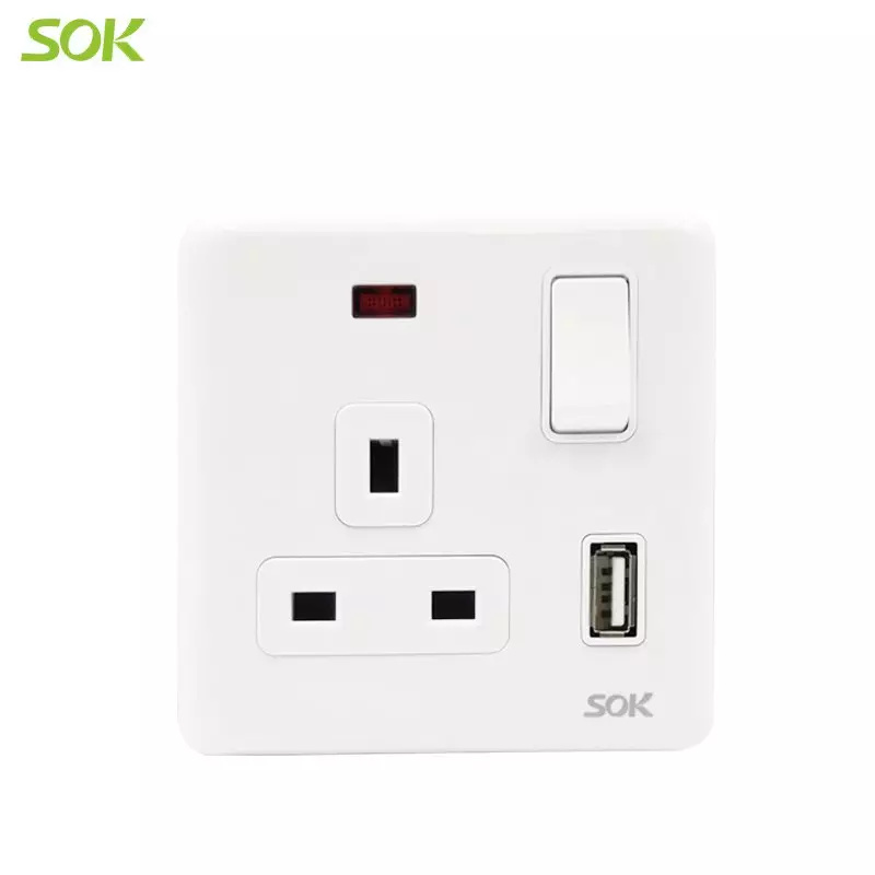 Single D/P Switched 13A BS Power Outlet With Neon & USB