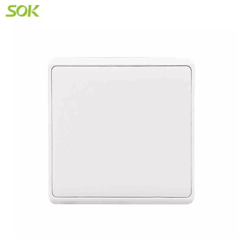 86 Blank Plate - White