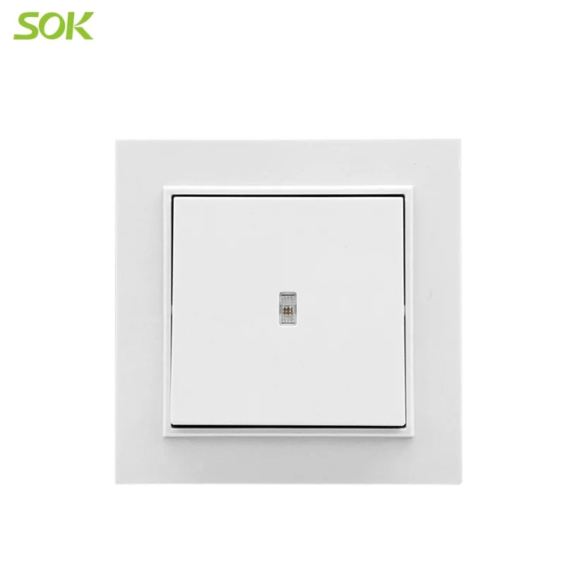 1 Gang 10AX Single Way Light Switch with LED with Hanger