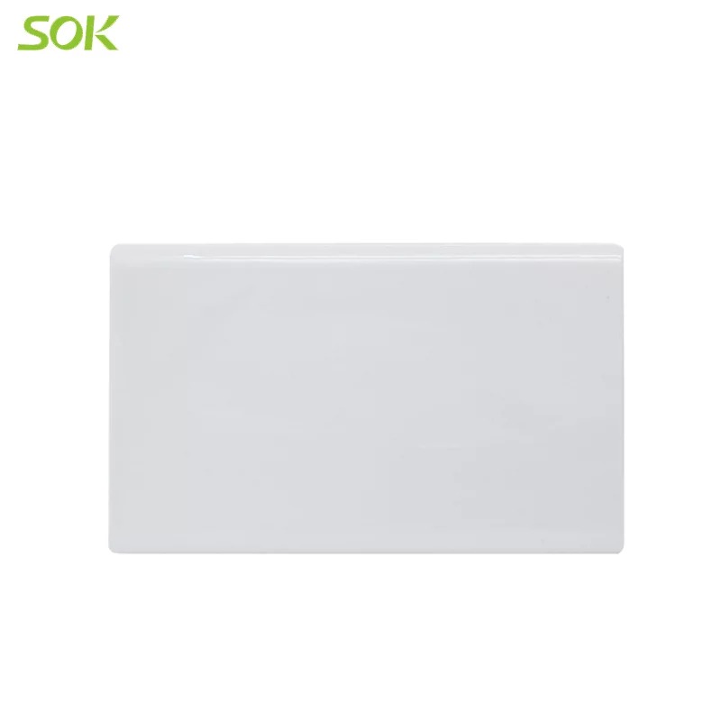 White 147 Size Blank Plate