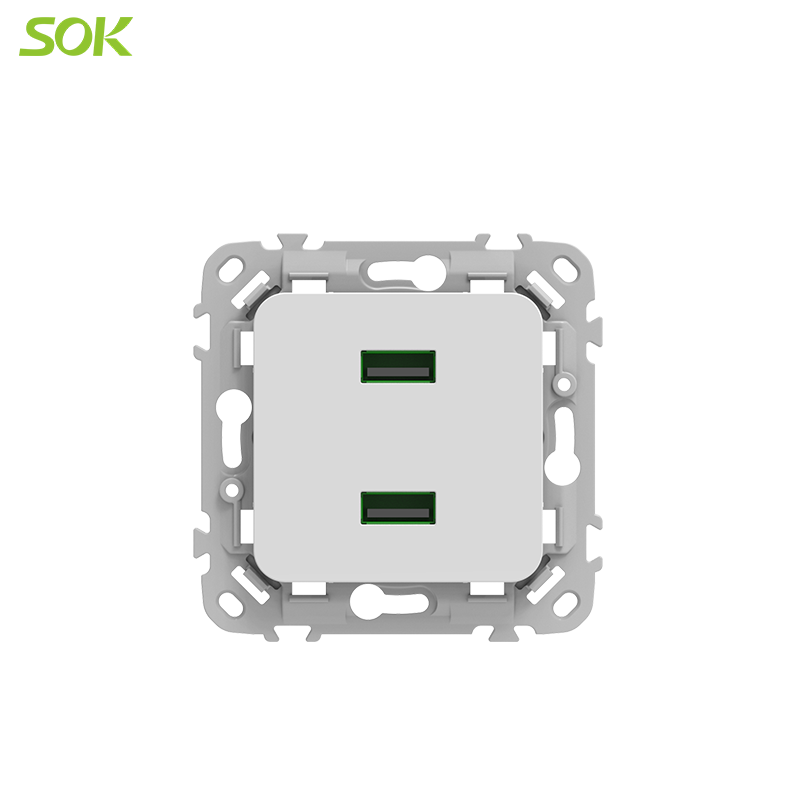 2Gang USB Socket White