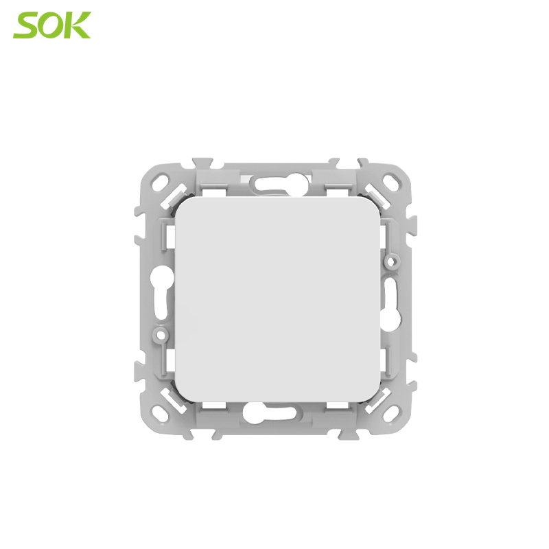 Blank Plate White
