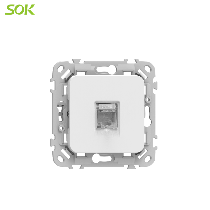 A_computer_plug_and_a_phone_plug_(3).png