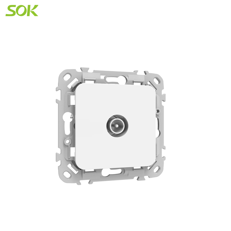 A_shielded_TV_plug_(3).png