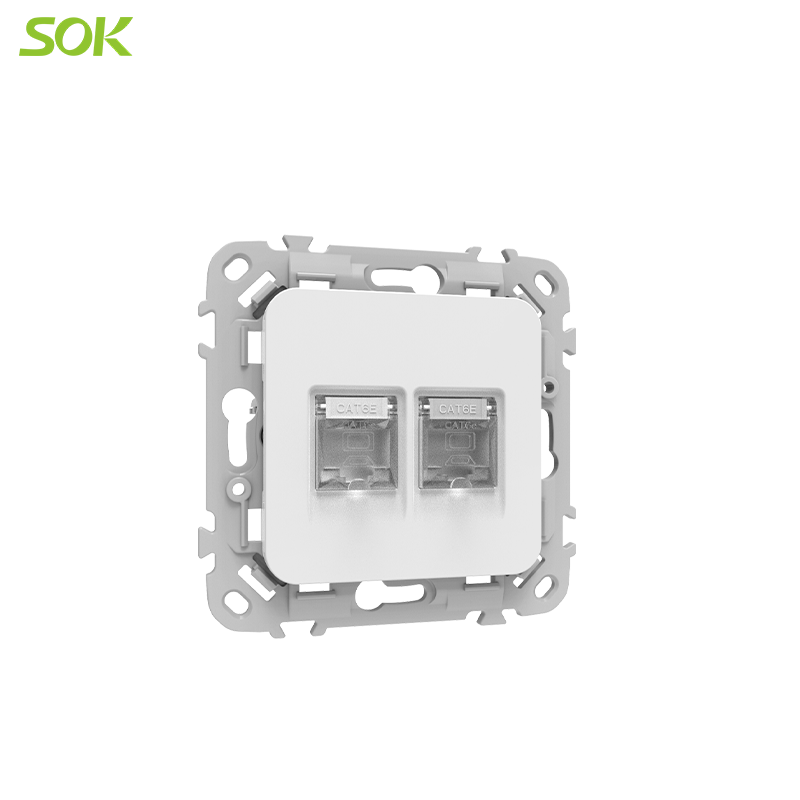 Two_computer_plugs_and_telephone_plugs_(2).png