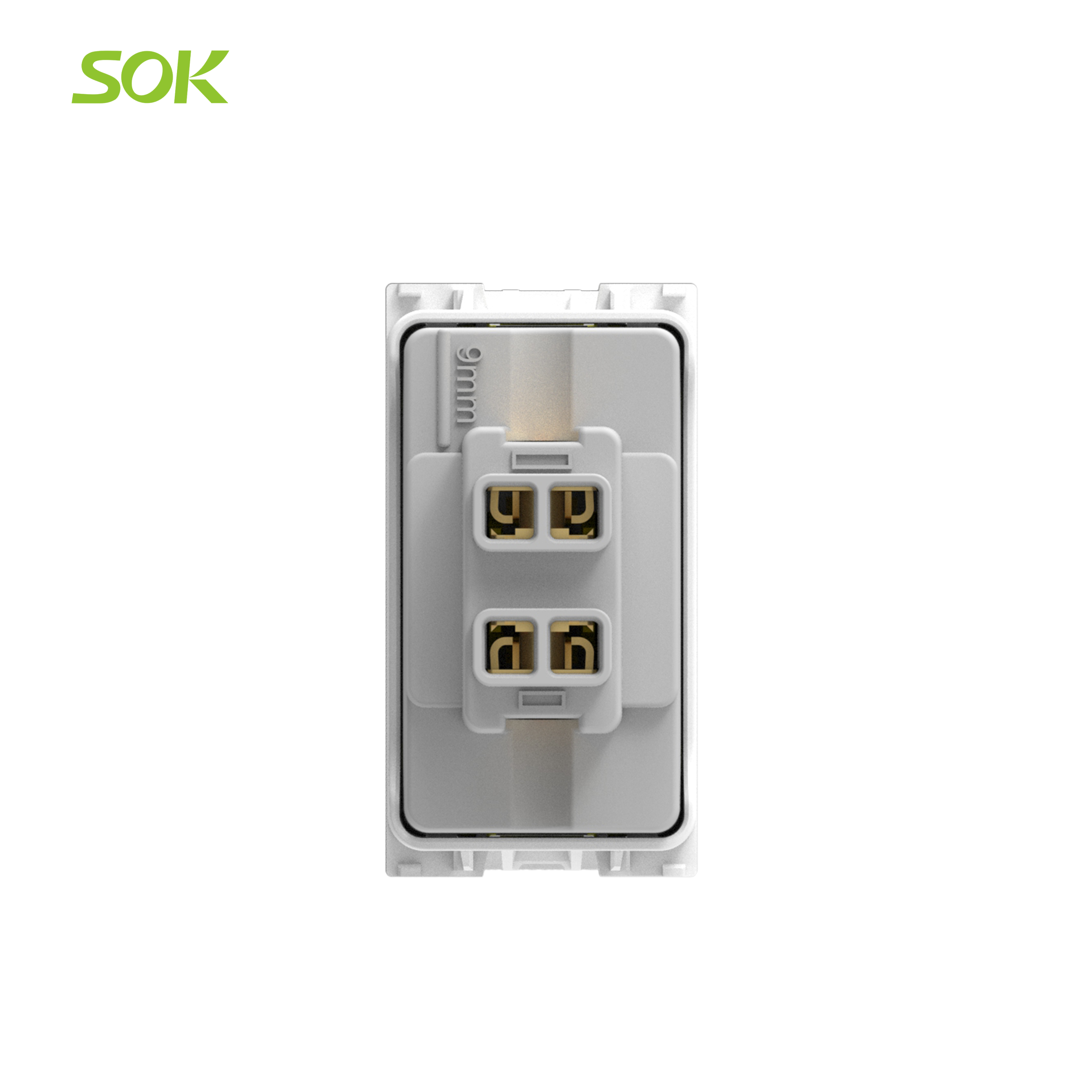 2-Pin_Euro-American_Universal_Socket2.png