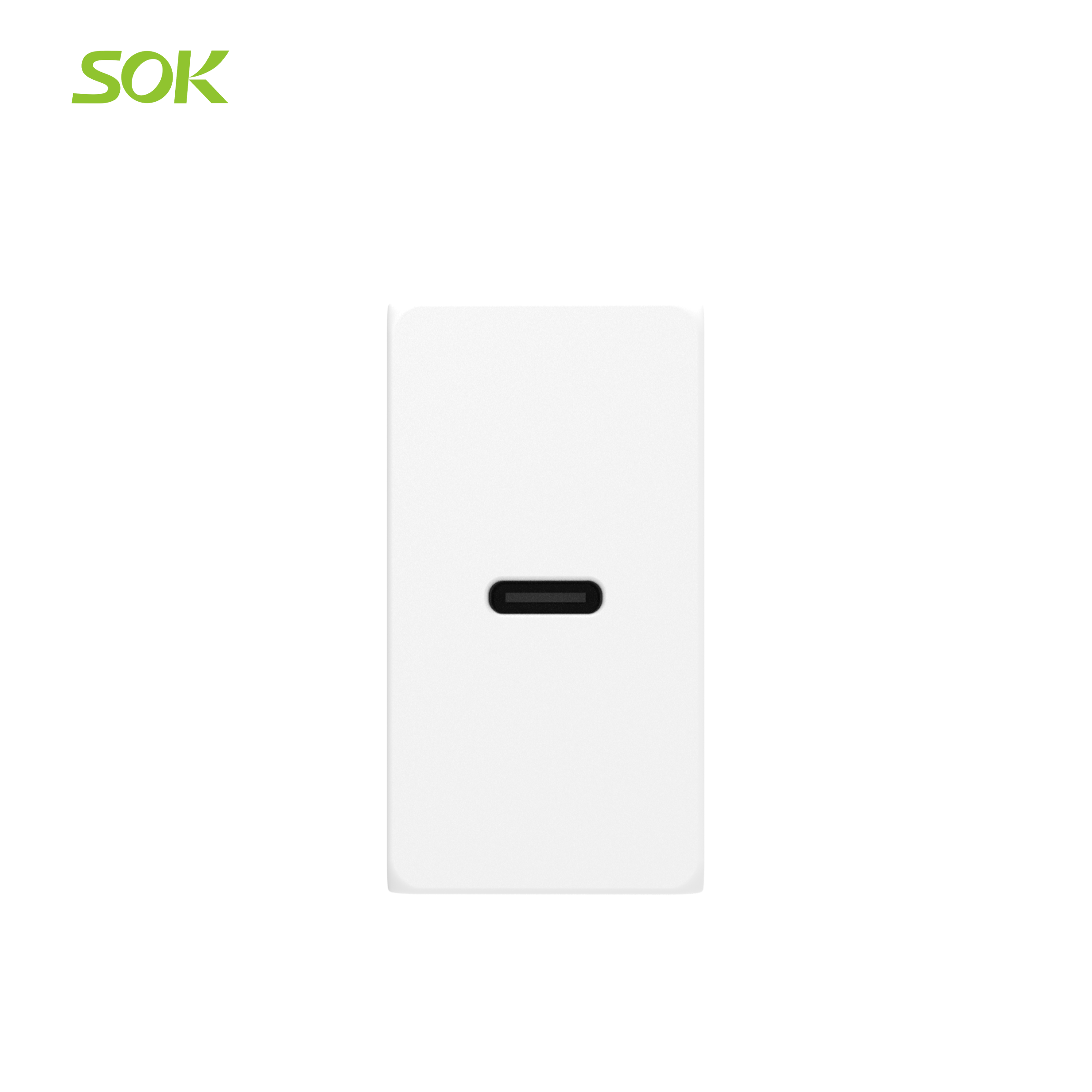 USB Charger (Type-C)