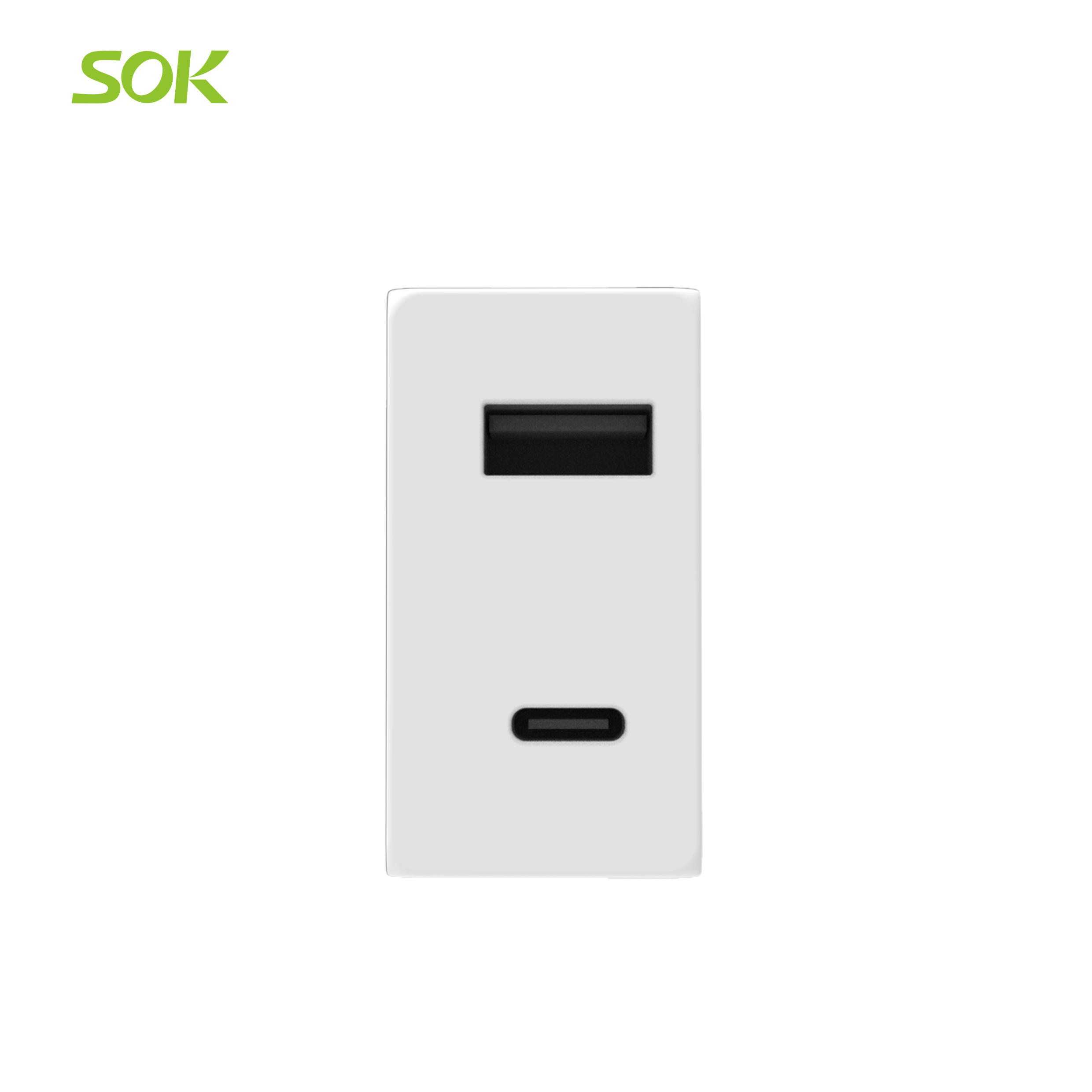 USB Socket Outlet (A+C)