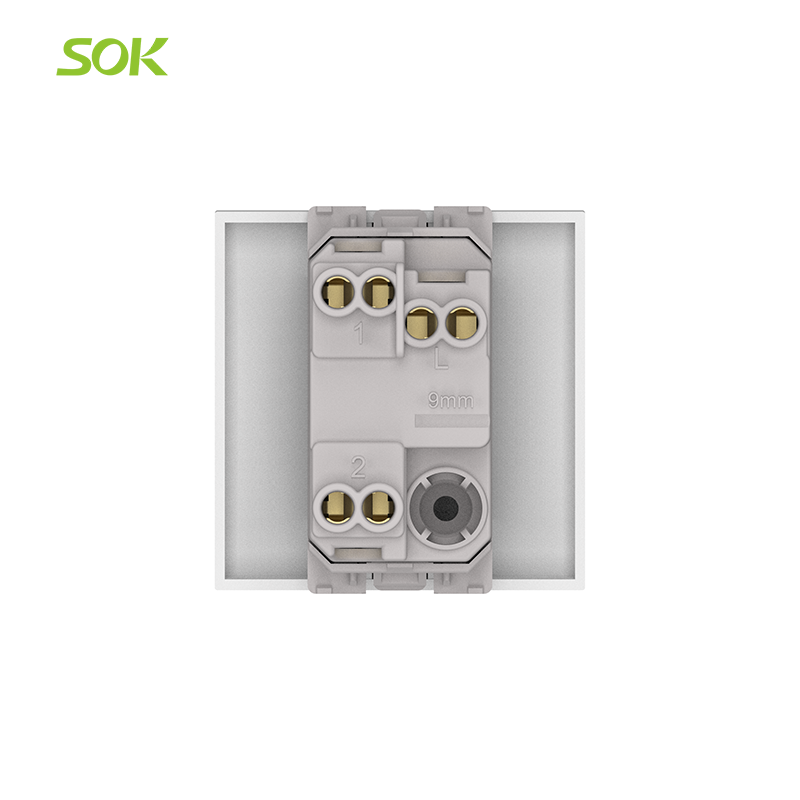 250V_2-Gang_2-Way_Light_Switch.png