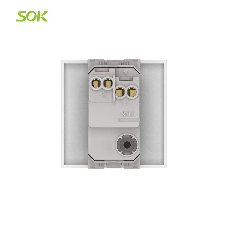250V_2-Way_Light_Switch_with_Indicator.png