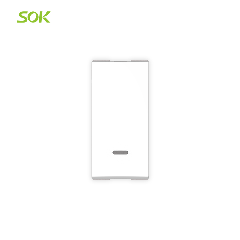 16AX 250V Double Pole Illuminable Switch