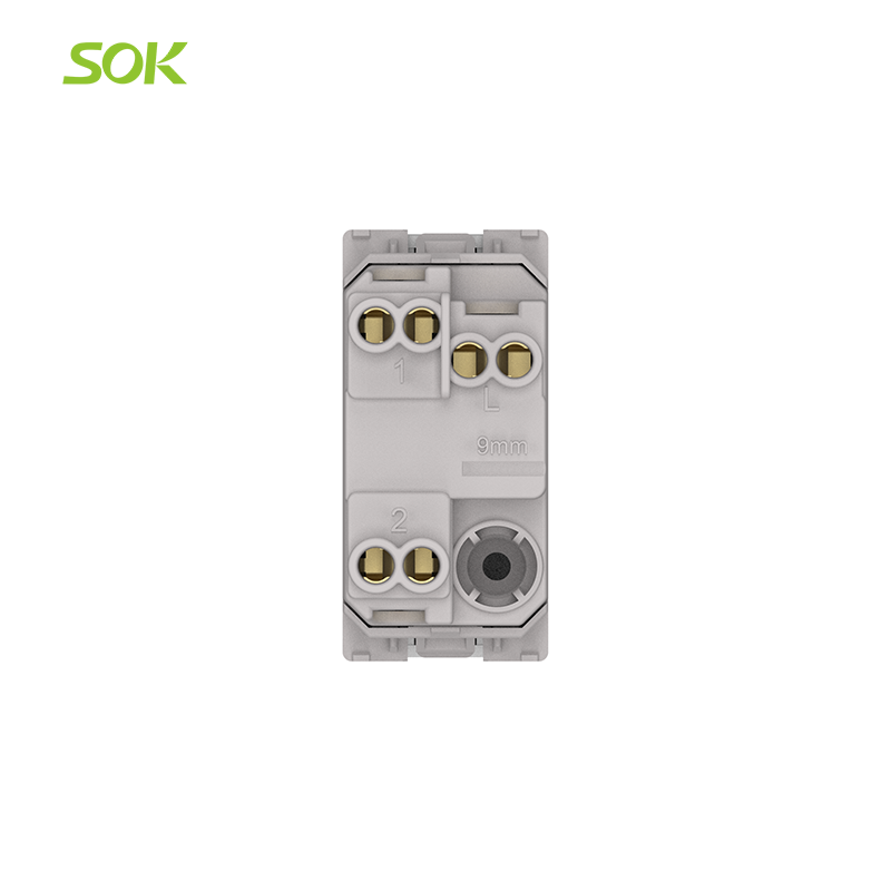 250V_Single_Gang_2-Way_Light_Switch_with_Indicator.png