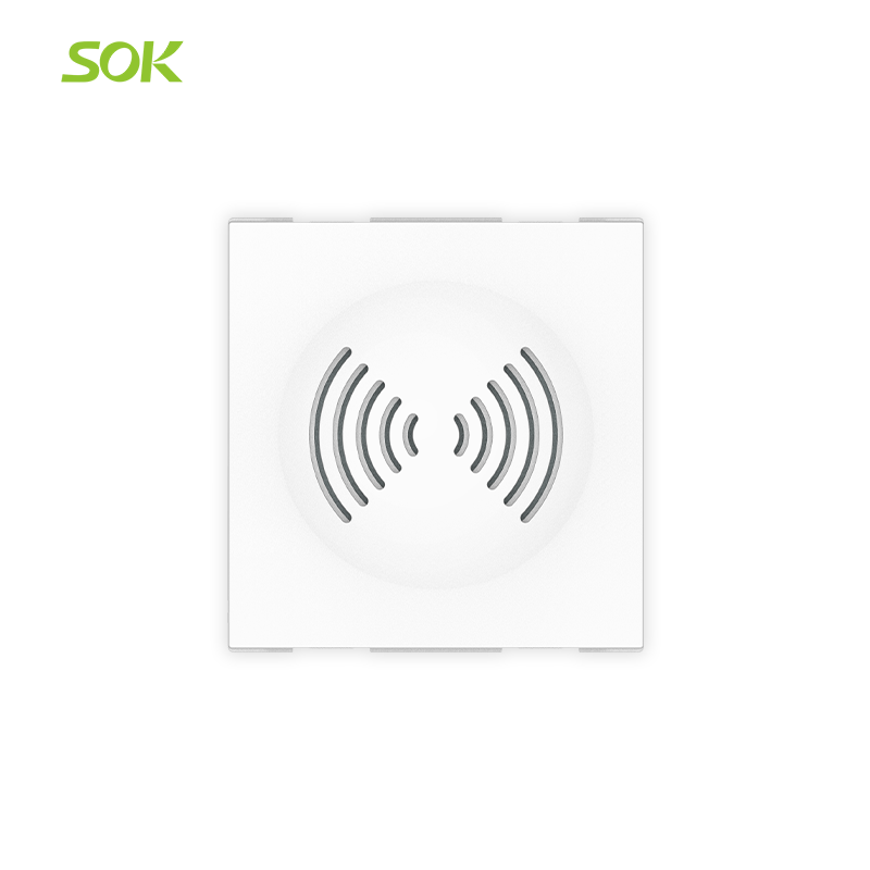 Electronic Door Bell