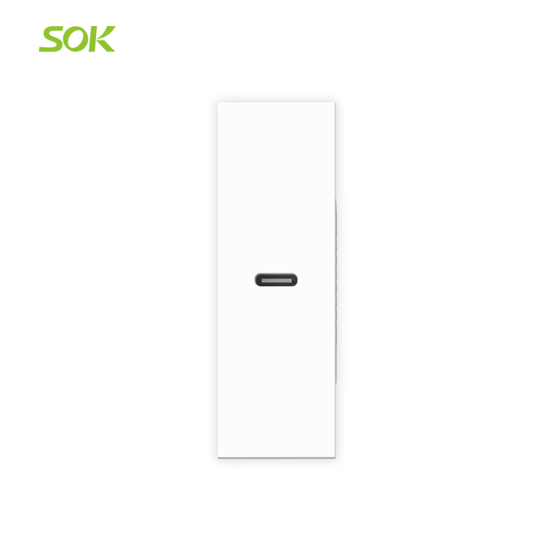 USB Charger (Type-C)